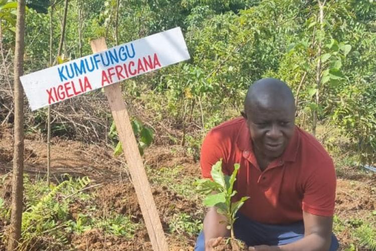 Elimu tree planting day