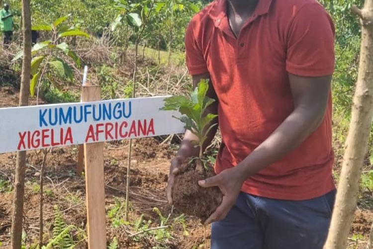 Elimu tree planting day