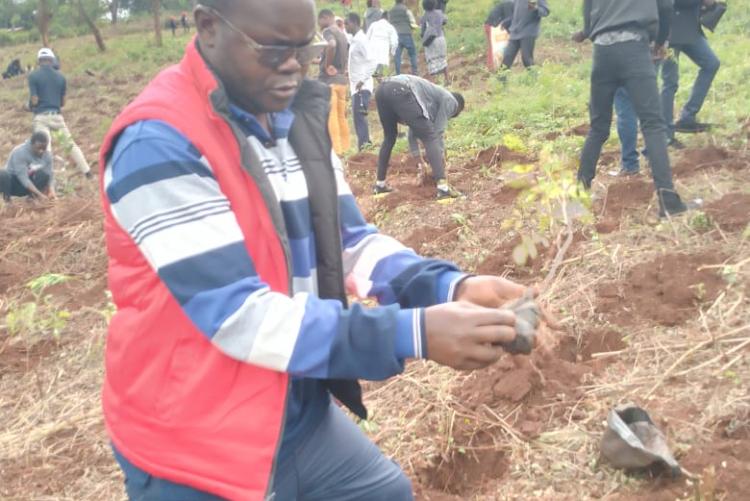 Elimu tree planting day