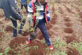 Elimu tree planting day