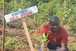 Elimu tree planting day